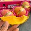 千里山彩澳芒果 |进口水果 商品缩略图0