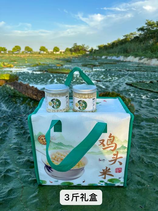 不时不食，过时不候，一期一会丨苏州南塘纯手剥新鲜鸡头米丨“水中人参”香甜弹糯 商品图4