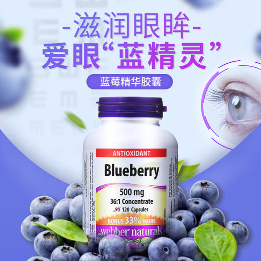 【跨境】Webber Naturals伟博天然蓝莓高倍浓缩精华胶囊呵护双眼120粒(SKU 3820) 商品图1