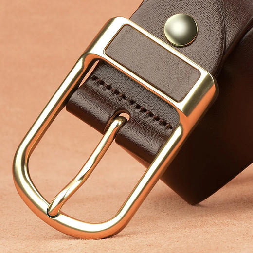 【自营】PLOVER香港啄木鸟男士针扣皮带GD00018-ZZ-B2 送男友送老公的礼物 商品图5