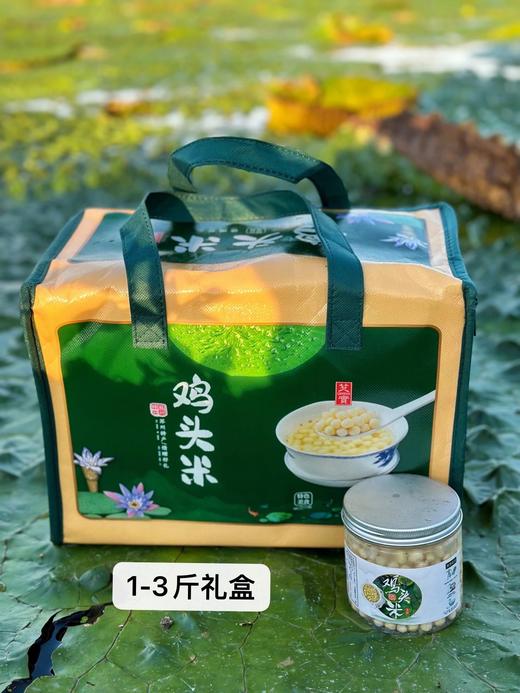 不时不食，过时不候，一期一会丨苏州南塘纯手剥新鲜鸡头米丨“水中人参”香甜弹糯 商品图5