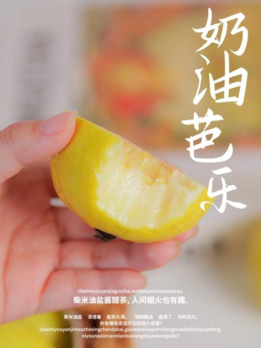 芭乐双拼！【红玫瑰芭乐/黄金奶油芭乐】 软糯番石榴 现摘现发 果肉柔滑，软糯香甜 一吃就上瘾！72小时发货～ 商品图4