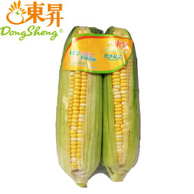 【超市】东升金银玉米