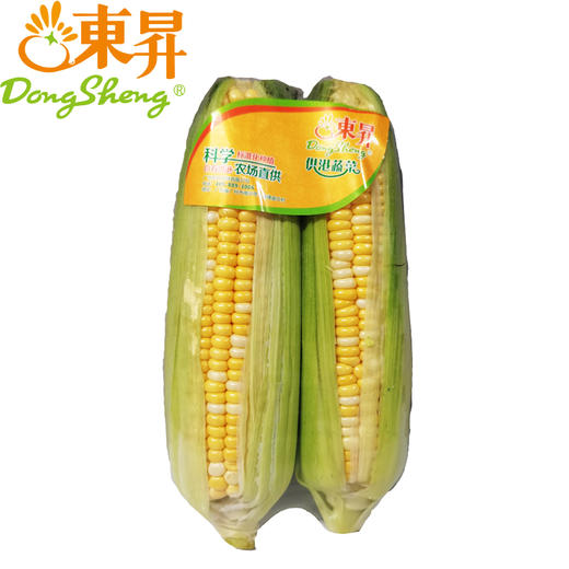 【超市】东升金银玉米 商品图0