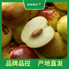 百果园 大荔冬枣2斤彩箱装（中果，单果重12g-16g） 商品缩略图3