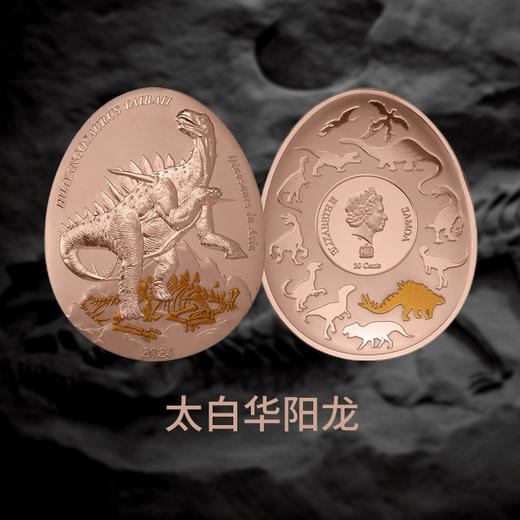 【新发行】2023年亚洲恐龙系列异形精制铜币（9-12组） 商品图4