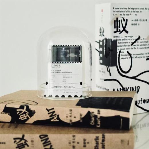 蚁 奥斯卡得主查理考夫曼首部长篇小说 查理考夫曼著 100+考夫曼片单 电影人灵感宝库 商品图3