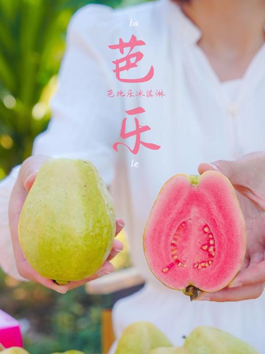 芭乐双拼！【红玫瑰芭乐/黄金奶油芭乐】 软糯番石榴 现摘现发 果肉柔滑，软糯香甜 一吃就上瘾！72小时发货～ 商品图10