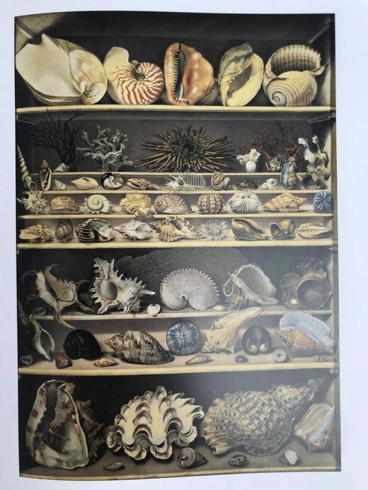 卢浮宫与杰作 百余幅插图 精装16开 商品图14