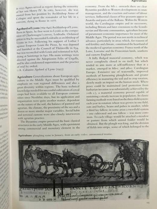 中世纪简明百科全书 250幅插图 精装16开 商品图14