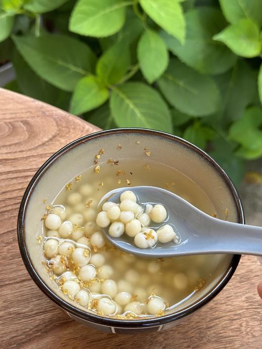 不时不食，过时不候，一期一会丨苏州南塘纯手剥新鲜鸡头米丨“水中人参”香甜弹糯 商品图6