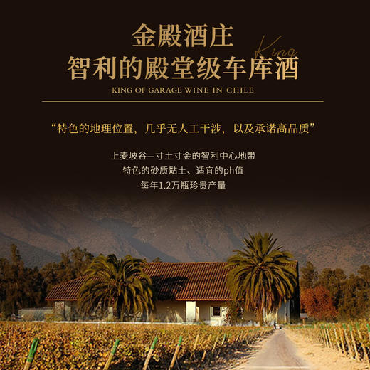 【连续6年帕克评分95+】佩络赤霞珠干红葡萄酒 麦坡谷产区 14.9%vol 商品图6