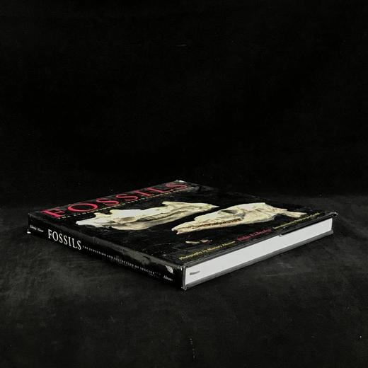 化石：物种的进化与灭绝 160幅彩色插图 精装大16开 商品图1