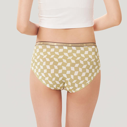 都市丽人健康系列锦泳薄透丝滑低腰平角女士内裤LK35E2 商品图2