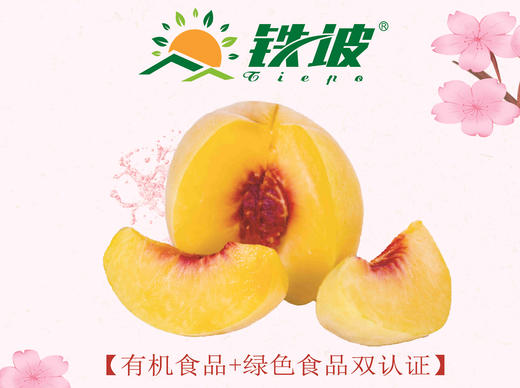 有机铁坡黄桃12个/盒 商品图2