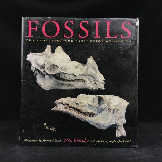 化石：物种的进化与灭绝 160幅彩色插图 精装大16开 商品图0