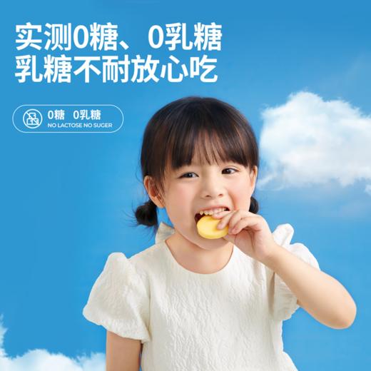 奶酪博士 低盐高钙小圆奶酪 75g*2 商品图5