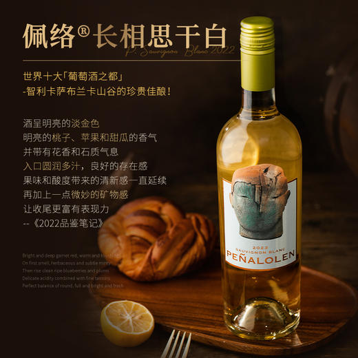 【连续6年帕克评分95+】佩络长相思干白葡萄酒 智利卡萨布兰卡产区 13%vol 商品图4