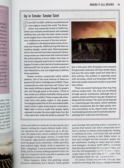 【中商原版】葡萄酒宝典 第3版修订版 英文原版 The Wine Bible 3rdEdition Revised Karen MacNeil 商品图7