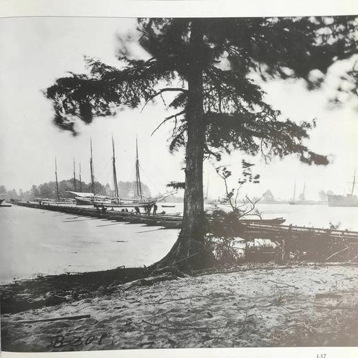 马修·布拉迪镜头下的美国内战 百余幅插图 精装大16开 商品图6