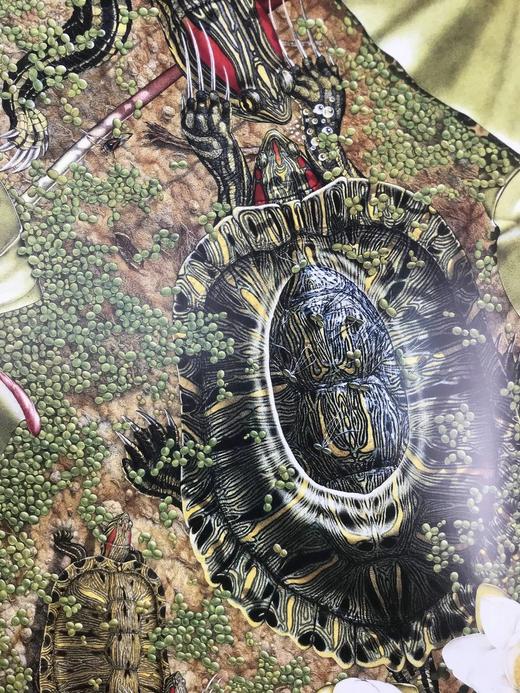 国家地理插画艺术集 156幅插图 精装大16开 商品图9