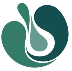  如何优雅老去？科学团队推荐四大抗衰方法 