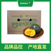 百果园 贝贝南瓜4.5斤家庭（净重4.5斤±100g） 商品缩略图6