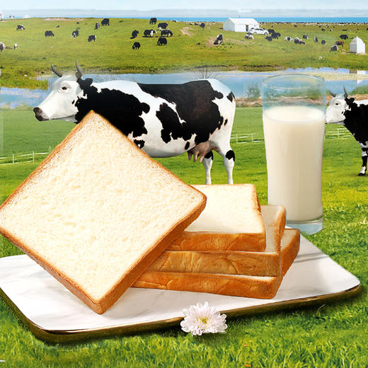 牛乳嫩吐司500g 真牛乳，真的嫩 牛奶吐司早餐面包蛋糕网红休闲零食 商品图4