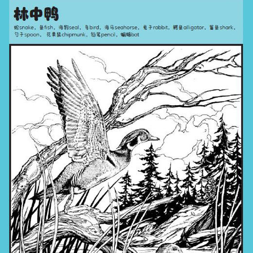 《Highlights专注力天才玩出来》（全15册） 商品图10