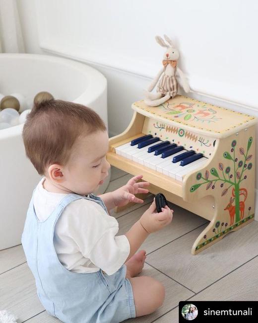 DJECO曼波音乐电子钢琴两款 商品图4