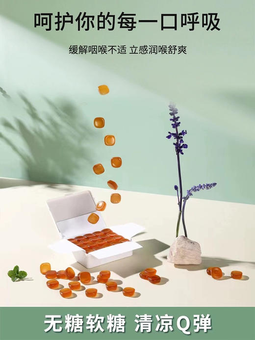 【节日礼盒装*瑞士🇨🇭鼠尾草润喉糖 】 店主常年自备 纯植物 内含鼠尾草提取物 一万句老师辛苦了，不如一盒喉糖来得实在！ 商品图4