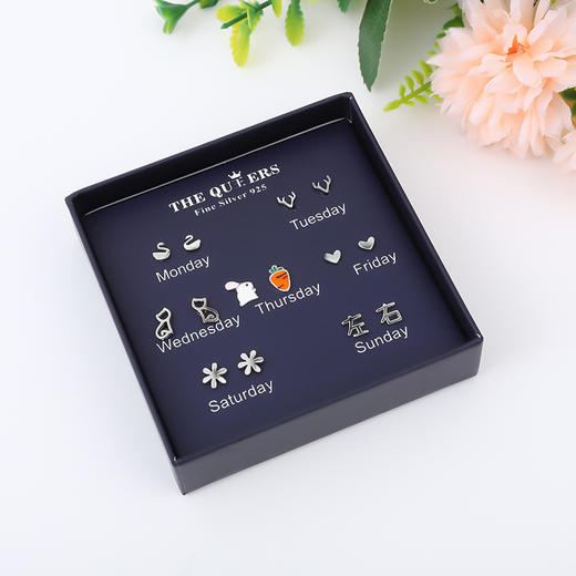 【一周耳钉女小众设计感耳饰】2023年新款潮韩国气质简约学生耳环女，设计精巧，款式多样，一周不重样。 商品图5