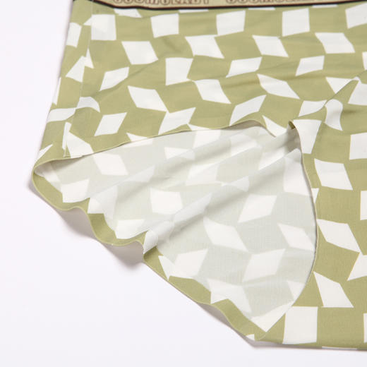 都市丽人健康系列锦泳薄透丝滑低腰平角女士内裤LK35E2 商品图5