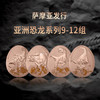 【新发行】2023年亚洲恐龙系列异形精制铜币（9-12组） 商品缩略图0