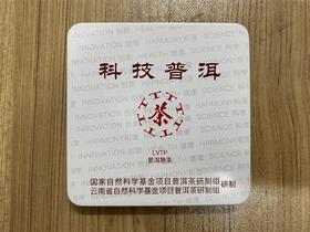 云南南涧 LVTP科技普洱mini版6块（8g/块） 2023年普洱生茶