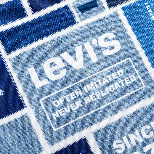 LEVIS 秋 大童小童 儿童童装夹克 LVN-LO-J739 商品图5