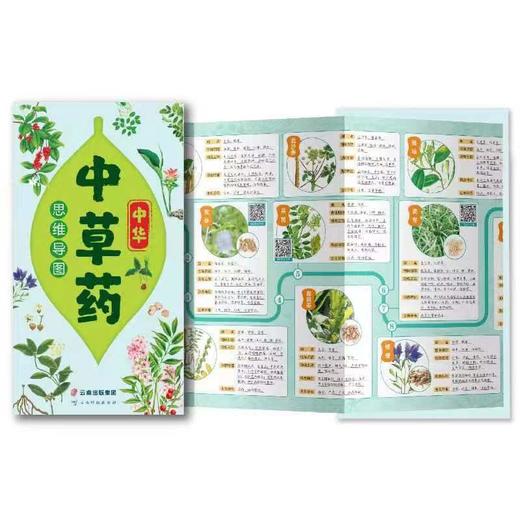 （4折包邮）《漫画黄帝内经》全2册  赠《思维导图》一张 商品图9