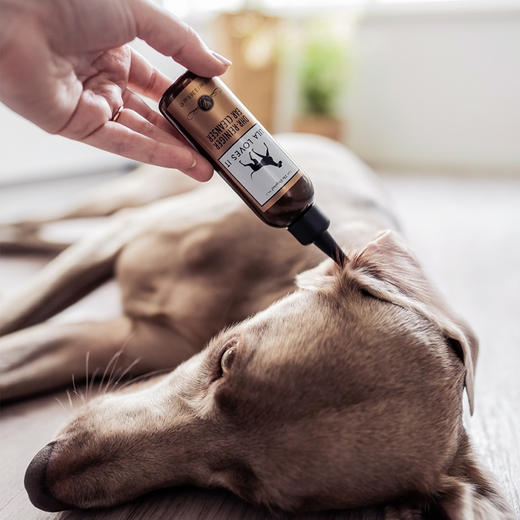 德国 里拉爱它 LILA LOVES IT洁耳滴剂100ml 商品图0