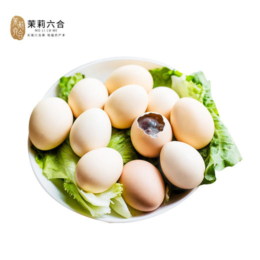 【预售】六合活珠子30枚线上（只发南京） 商品图0