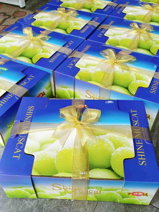 包装（蓝绿色）晴王礼盒 商品图0