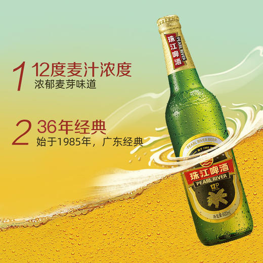 珠江啤酒12度 经典老珠江啤酒 600ml*1瓶/6瓶/12瓶 商品图2