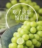 桐叶地产顶级香印晴王葡萄-是阳光亲吻过的味道 商品缩略图5
