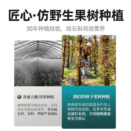 杞里香130g礼盒装铁皮石斛  雁荡山产地，5年足龄石斛高档礼盒，送礼有面 商品图6