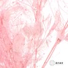 永生花材 | 雾中情人粉 商品缩略图1