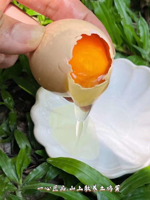 九华山 散养土鸡蛋 无农残 60枚一箱 商品图4