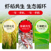 荆裕优选虾稻米10kg 商品缩略图2