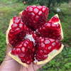 【超值9斤装！突尼斯软籽石榴】 新鲜现摘水果足量品质保障。苏北大凉山特产健康 商品缩略图2