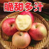 鲁丽苹果多斤装70mm+ 香脆可口 商品缩略图1