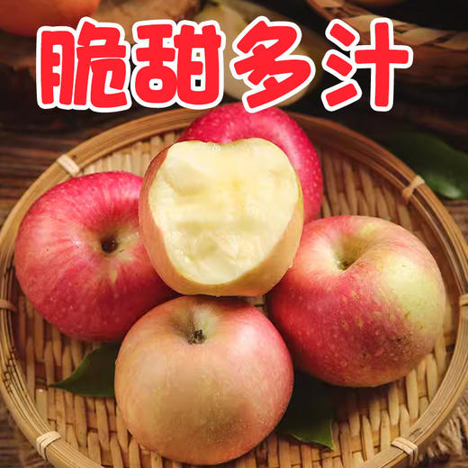 鲁丽苹果多斤装70mm+ 香脆可口 商品图1
