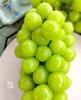 桐叶地产顶级香印晴王葡萄-是阳光亲吻过的味道 商品缩略图0